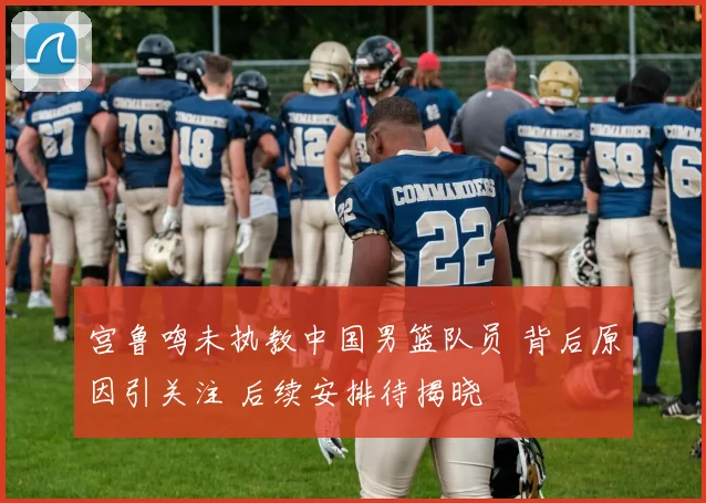 宫鲁鸣未执教中国男篮队员 背后原因引关注 后续安排待揭晓
