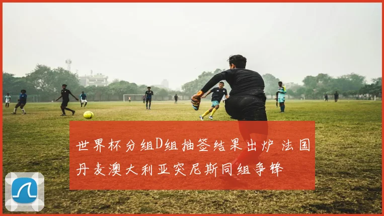 世界杯分组D组抽签结果出炉 法国丹麦澳大利亚突尼斯同组争锋